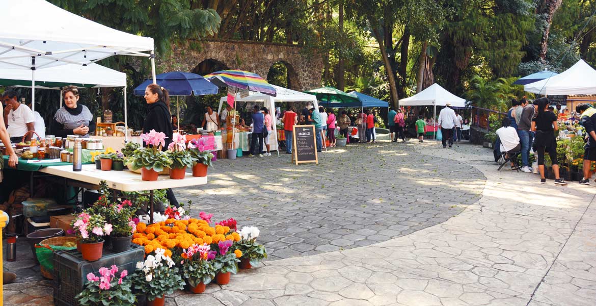 morelos-mercado-verde-productos-locales-ecologico-sustentable