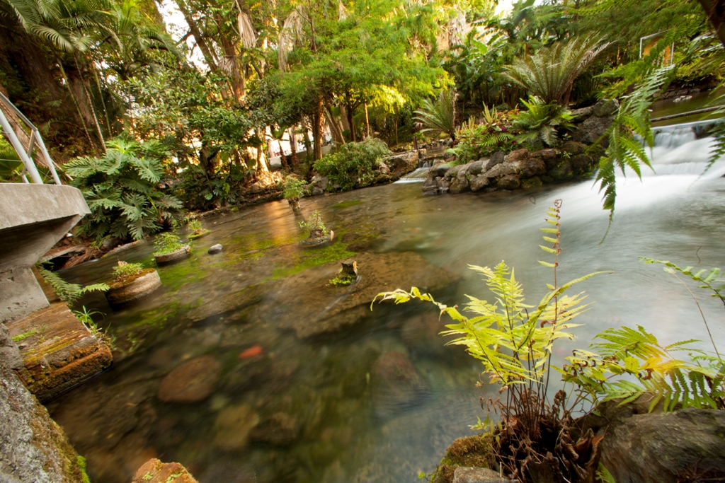 parque-barranca-chapultepec-cuernavaca-naturaleza parque ecologico