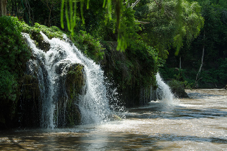 rios-morelos-cuantos-son-conservacion-lagunas-cuidado-agua-mexico-balnearios-estacas-biodiversidad-11