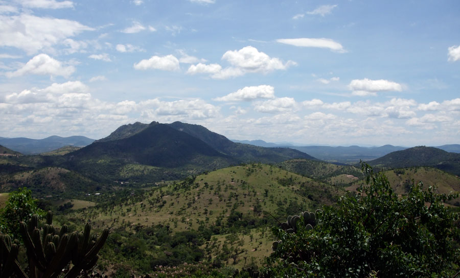morelos-naturaleza-biodiversidad-flora-fauna-zonas-arqueologicas-donde-ir