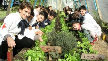 invernaderos-huertos-hortalizas-escolares-morelos-seguridad-alimentaria