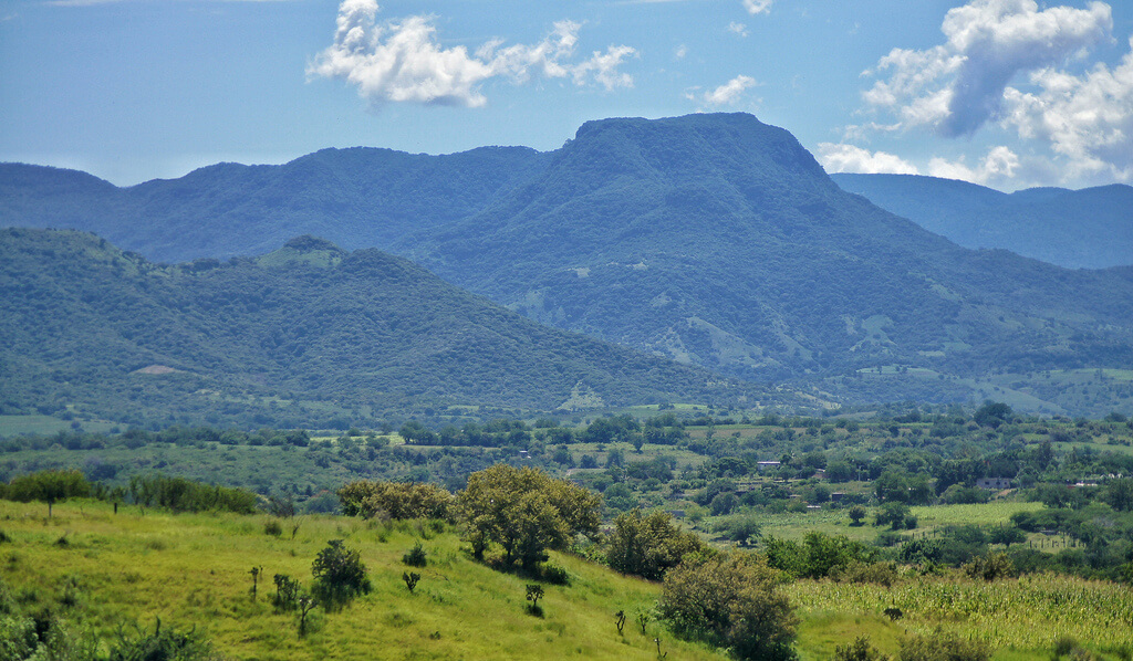 Morelos es uno de los mejores lugares para el desarrollo de pequeñas