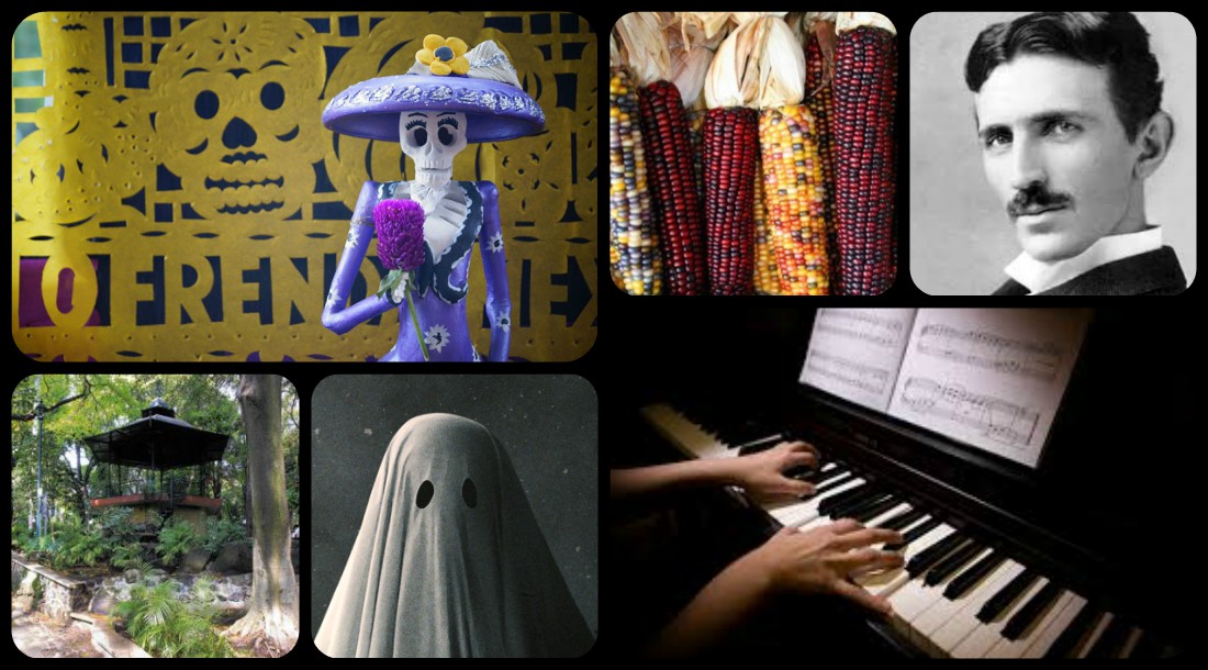 morelos-carnavales-conciertos-talleres-cine-musica-libros-arte-cuernavaca