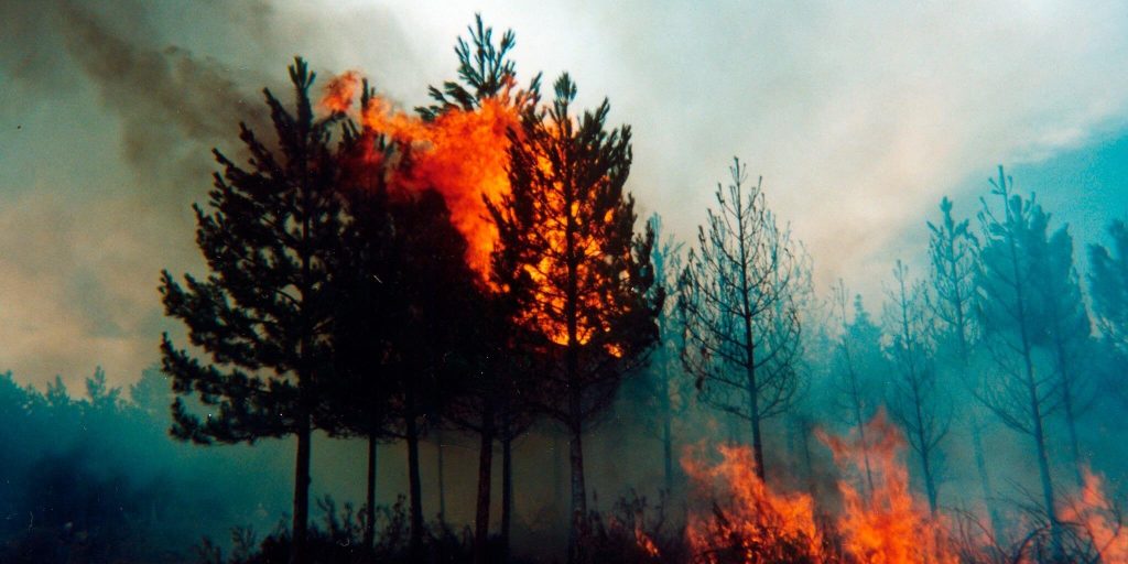 morelos-bosques-areas-naturales-incendios-prevencion-tips-recomendaciones
