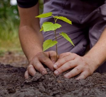 morelos-apoyos-gobierno-campo-campesinos-agicultura-agricultores