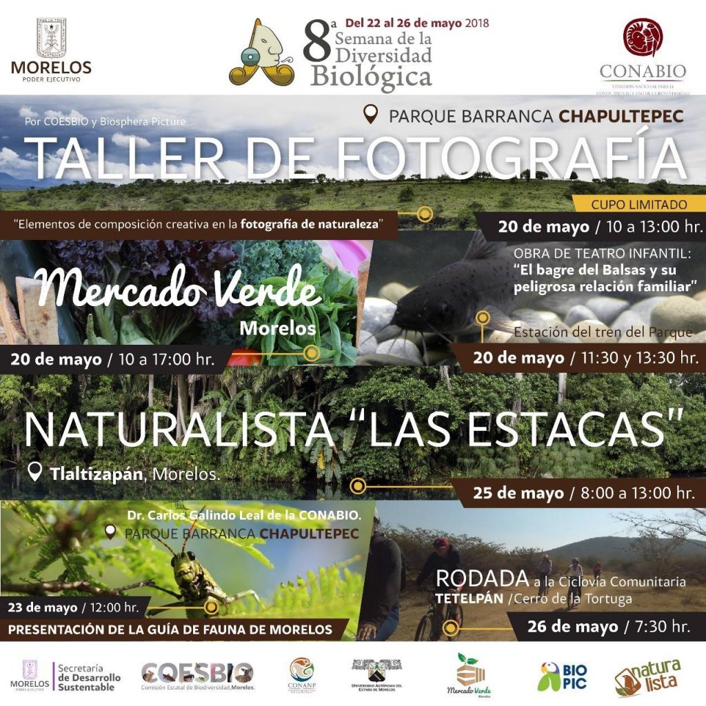 morelos-semana-diversidad-biologica-biodiversidad-programa-talleres-eventos-teatro-naturaleza-ciclismo